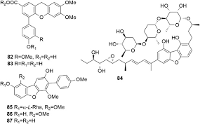 Attēlu rezultāti vaicājumam “Physarum melleum young”