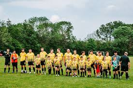 Image result for Warsash Wasps Sports & Football Club
