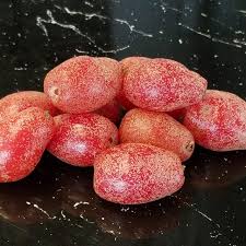 Attēlu rezultāti vaicājumam “Listera ovata fruit”