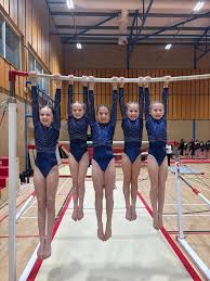 Image result for Warrington Gymnastics Club