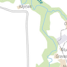 Attēlu rezultāti vaicājumam “Atylotus sp.”