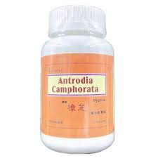 Attēlu rezultāti vaicājumam “Antrodia”