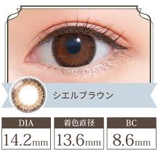 「ネオサイトワンデーシエル」の画像検索結果