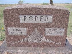 Rosa Gardner Roper (1871 - 1948) - Find A Grave Memorial - 15658480_123172805144