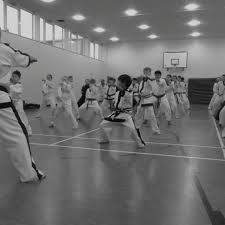 Image result for Bytomic Tae Kwon Do Beaconsfield