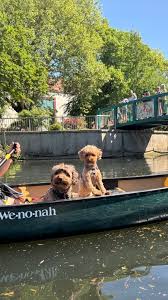 Image result for Chelmsford Canoe Club
