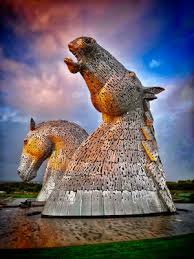 Image result for Scottish Equi Complex