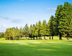 Image result for Tulliallan Golf Club