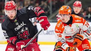 Image result for Cardiff Devils