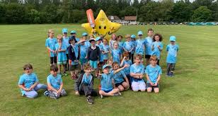 Image result for Alne Cricket Club