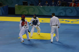 Image result for Bytomic Tae Kwon Do Princes Risborough