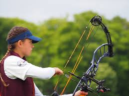 Image result for Row Brow Field Archery