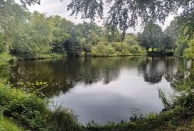 Image result for Bollington & Royal Oak Angling Society