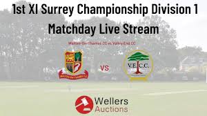 Image result for Valley End Cricket Club