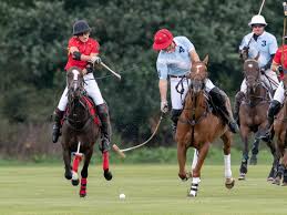 Image result for Cirencester Park Polo Club