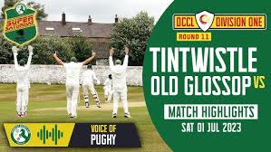 Image result for Tintwistle Cricket Club