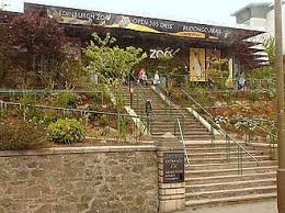 Image result for Corstorphine Cricket Club