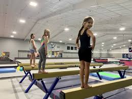 Image result for Tessaro Gymnastics Club
