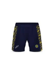 Image result for Cwmbran Celtic F C