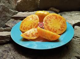 Afbeeldingsresultaat voor amana orange beefsteak tomato