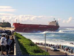 Image result for Pasha bulker