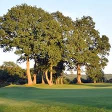 Image result for Aberdare Golf Club