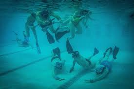 Image result for Dublin Underwater Hockey Team