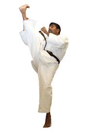Image result for Goshin Ryu Atemi JuJitsu