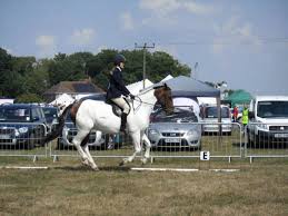 Image result for Palmers Riding Stables
