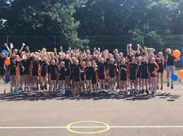 Image result for Hornets Netball Club