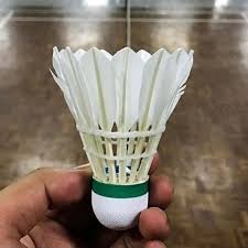 Image result for Cotswold Badminton Club