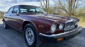 Image result for Curlew 1986 Jaguar