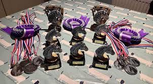 Image result for Dalkeith Park Equestrian Club