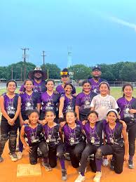 Image result for Dragons Softball Club