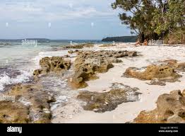 Image result for Scottish Rocks