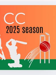 Image result for Henfield Cricket Club