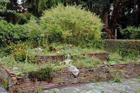 Image result for Priona Tuinen