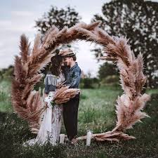 Attēlu rezultāti vaicājumam “Phragmites communis flower”