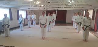 Image result for Ronin Yudansha Ryu