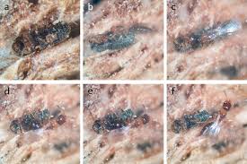 「カリーナ・モク DARKER THAN BLACK -黒の契約者-」の画像検索結果