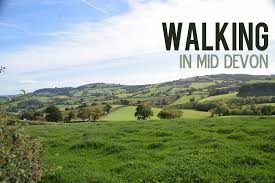 Image result for Mid-Devon Cc