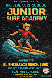 Image result for BigBlueSurfSchool