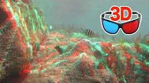 Image result for anaglyphen