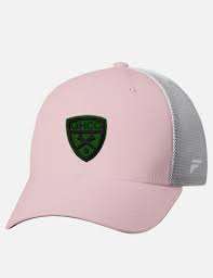 Image result for Glastonbury Cricket Club