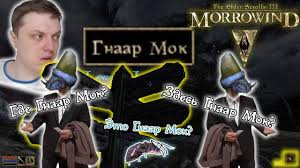 Image result for гнаар