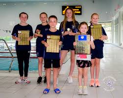 Image result for Derwentside Asc