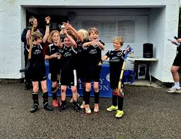 Image result for World of Shinty