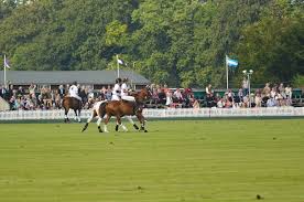 Image result for Cirencester Park Polo Club