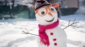 Image result for Schneemann