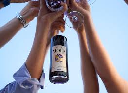 Attēlu rezultāti vaicājumam “Viola collina”